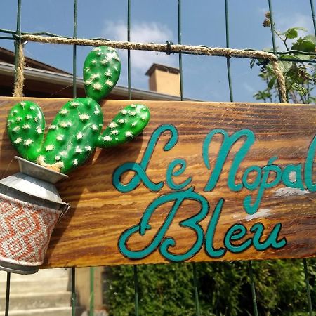 Le Nopal Bleu Leilighet Tarascon-sur-Ariège Eksteriør bilde