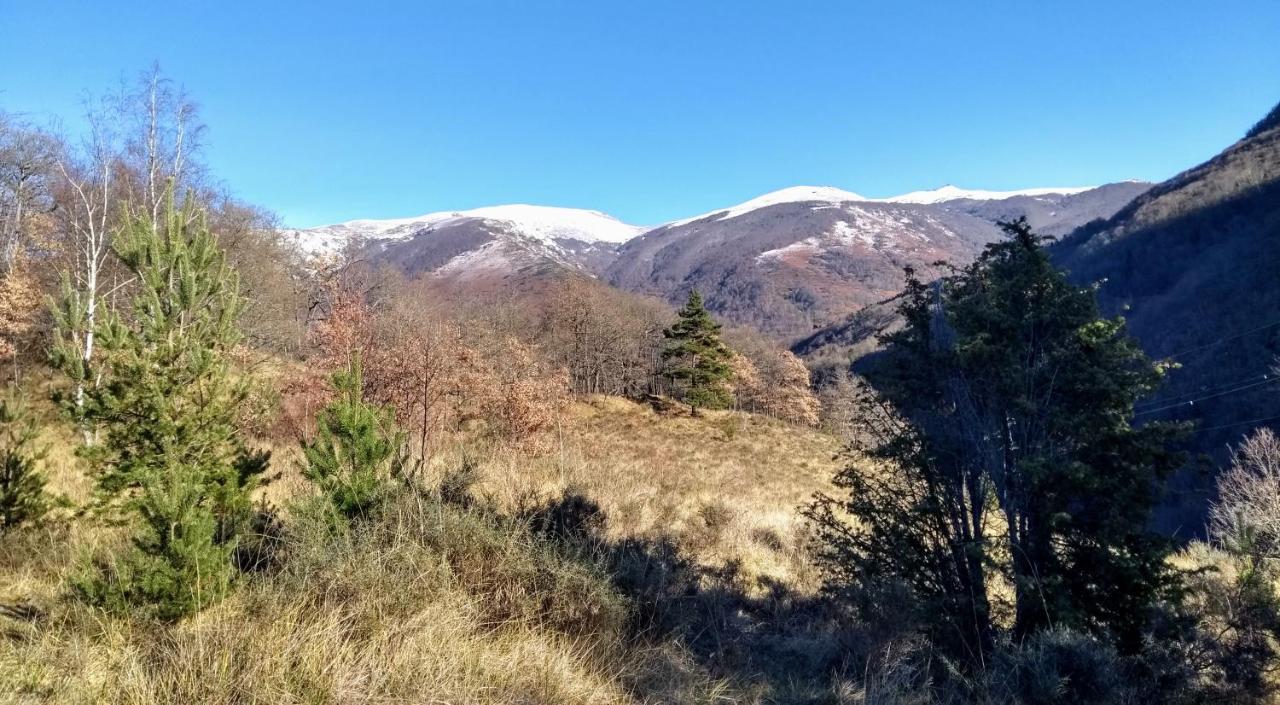 Le Nopal Bleu Leilighet Tarascon-sur-Ariège Eksteriør bilde