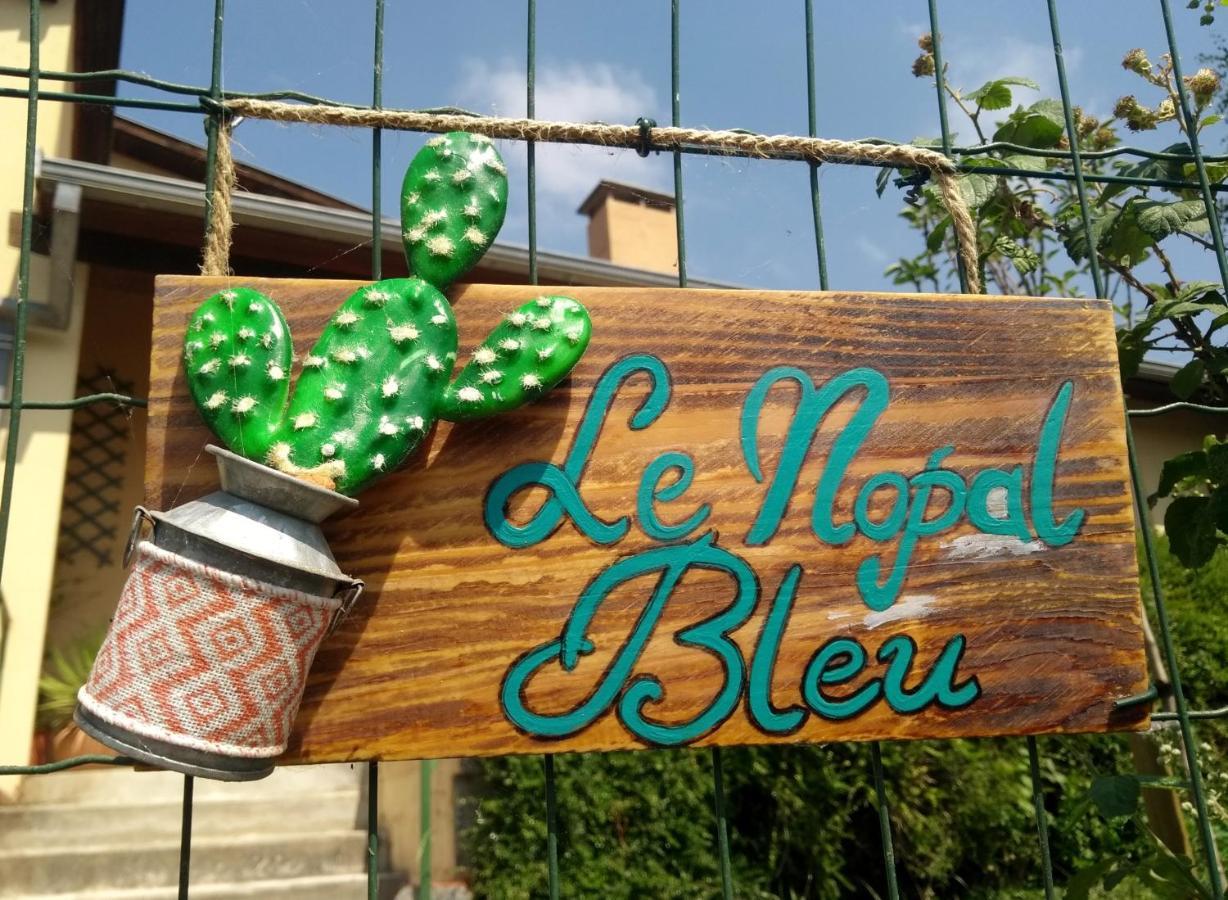 Le Nopal Bleu Leilighet Tarascon-sur-Ariège Eksteriør bilde