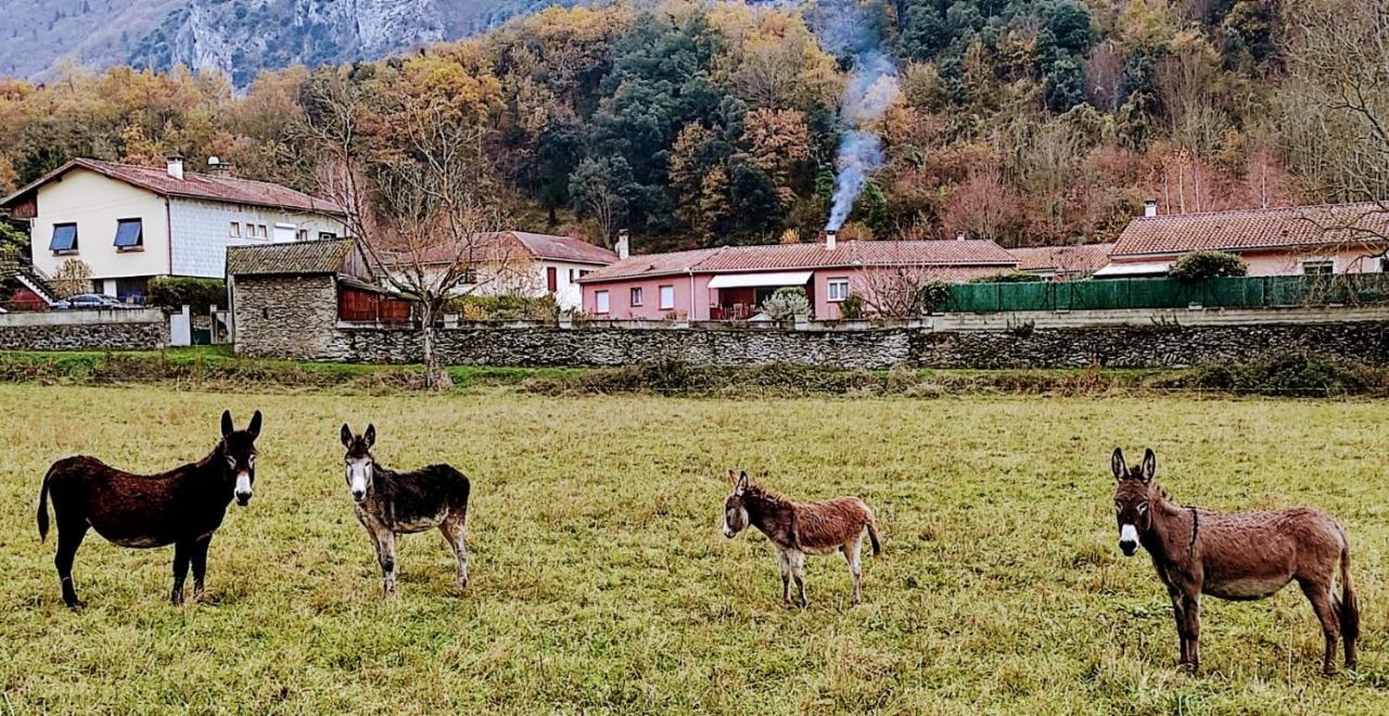 Le Nopal Bleu Leilighet Tarascon-sur-Ariège Eksteriør bilde